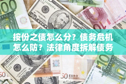 武汉按份之债怎么分？债务危机怎么防？法律角度拆解债务分配与风险自保指南