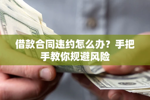 武汉借款合同违约怎么办？手把手教你规避风险