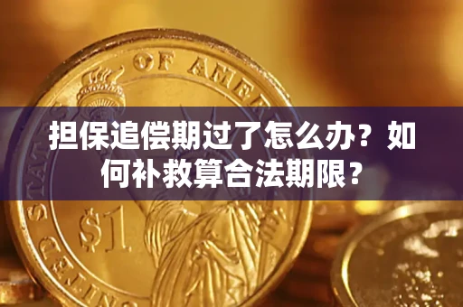 武汉担保追偿期过了怎么办？如何补救算合法期限？