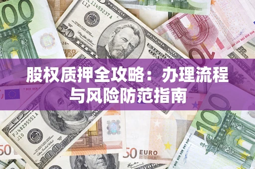 武汉股权质押全攻略：办理流程与风险防范指南
