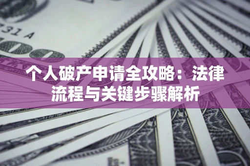 武汉个人破产申请全攻略：法律流程与关键步骤解析